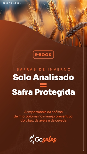 O e-book está disponível gratuitamente