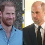 Declaração de Harry sobre reaproximação familiar teria incomodado William